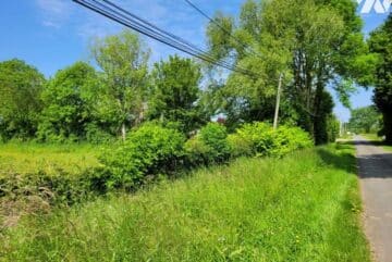 Pour quelles raisons d'acheter un terrain à Sarthe